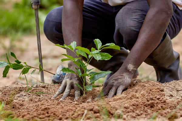 Environment & Sustainability